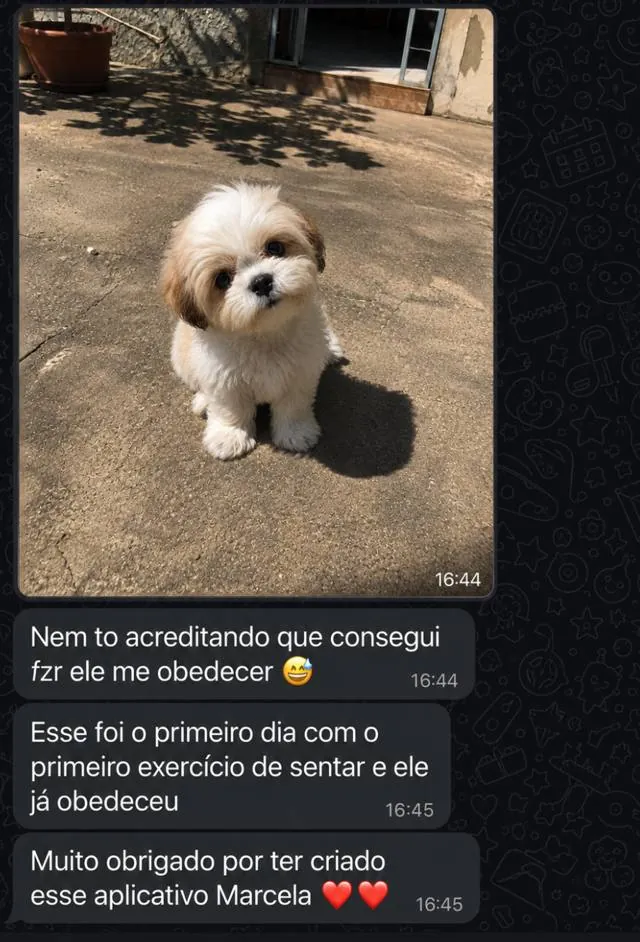 Print de WhatsApp de uma tutora contando o resultado com o filhote