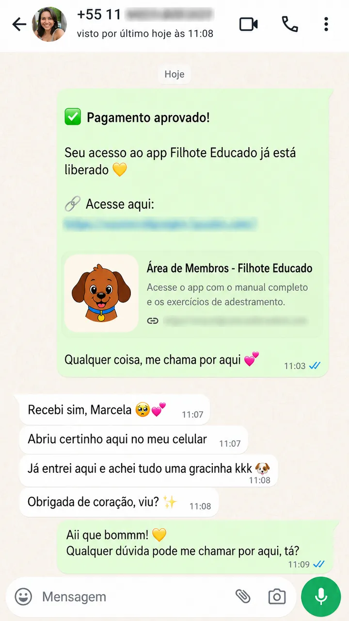 Cliente confirmando acesso liberado no WhatsApp